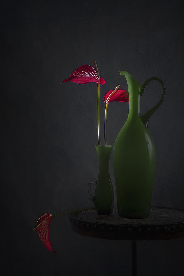 Red Anthurium Photograph by Lydia Jacobs