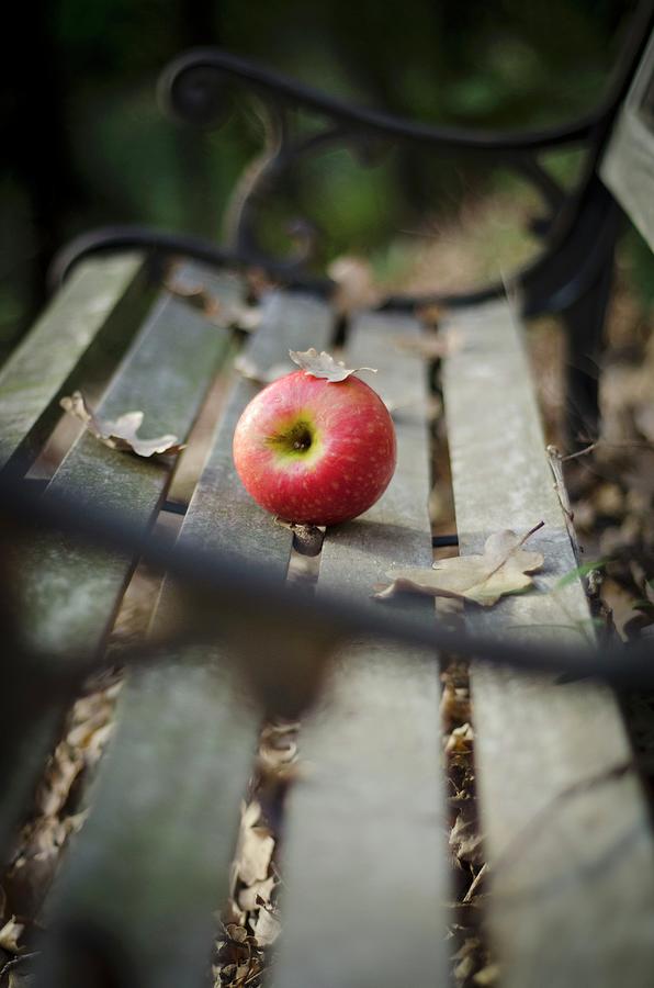 Red Apple An Autumn Leaves On Wooden Bench Photograph by Aniko Szabo