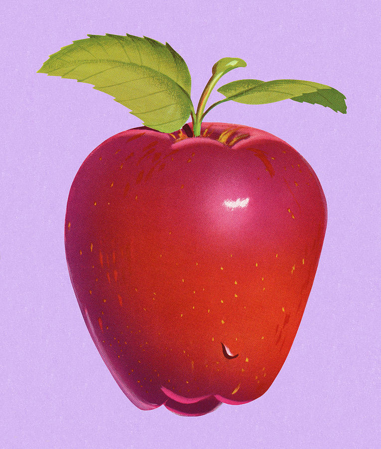 Vintage Drawing - Red Apple by CSA Images