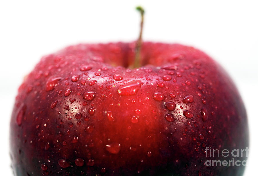 Red Apple Top Profile Photograph by John Rizzuto