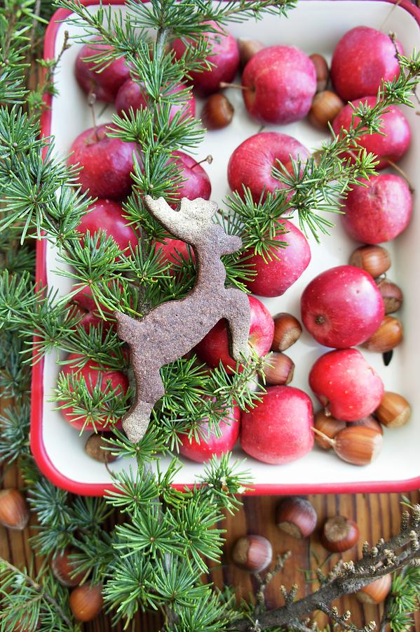 Red Apples And Reindeer-shaped Biscuit In Baking Dish at Christmas Photograph by Martina Schindler