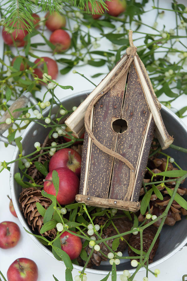 Red Apples, Mistletoe And Nesting Box In Old Pot Photograph by Martina Schindler