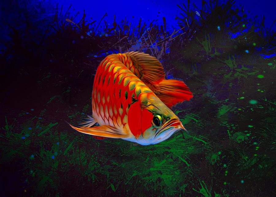 Red Asian Arowana Portrait Digital Art by Scott Wallace 