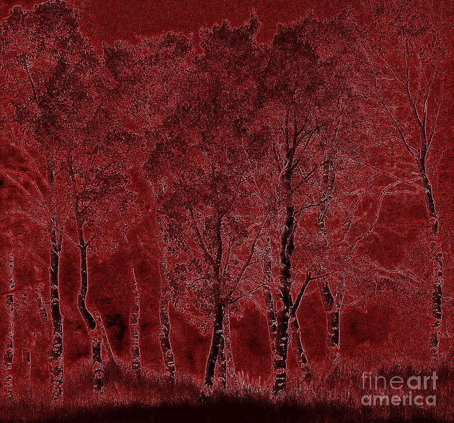 Red Aspen Grove by Barbara Henry Red Aspen Grove by Barbara Henry