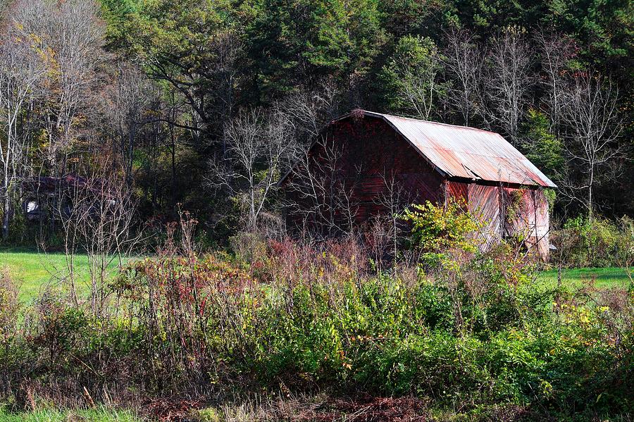 Red Barn Among The Brambles Photograph