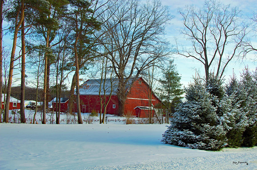 Nature Photograph - Red Barn And Snow Covered Trees by Ken Figurski