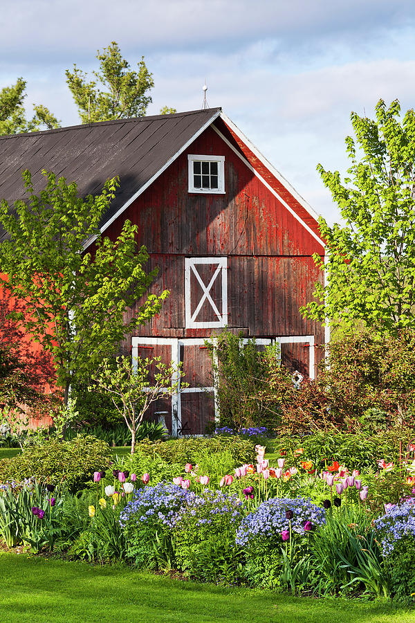 Red Barn And Spring Garden Photograph by Alan L Graham