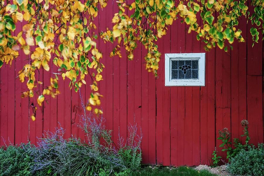 Red Barn Close Up, Long Island, Ny Digital Art by Laura Zeid