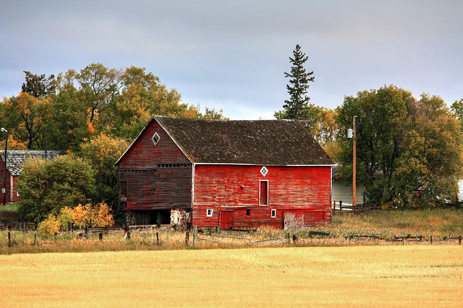 Red Barn Fall Photograph by David Matthews