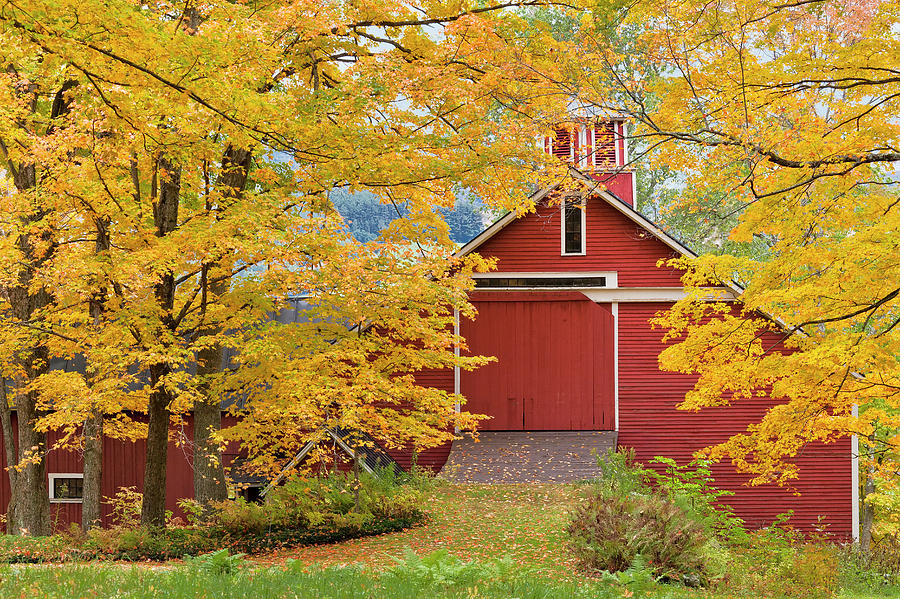 Red Barn Fall Scenic Photograph by Alan L Graham