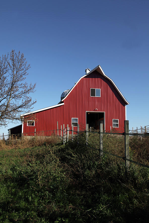 Red Barn, Fence & Blue Sky Photograph by Akaplummer