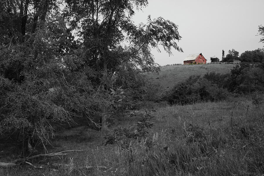 Red Barn Hill Photograph by Dylan Punke