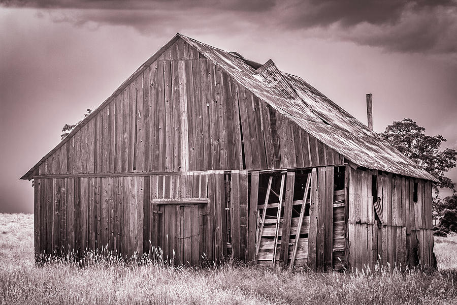 Barn Photograph - Red Barn In Monochrome by Randy Bayne Barn Photograph - Red Barn In Monochrome by Randy Bayne