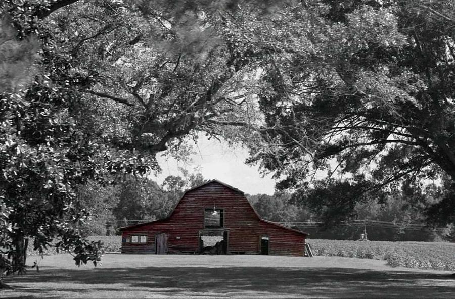 Red Barn Photograph by Lindsey Floyd