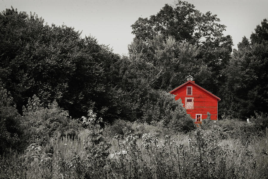 Red Barn Photograph by Michelle Wermuth