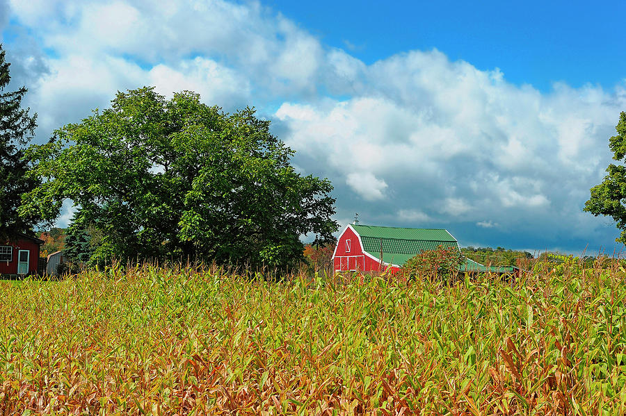 Red Barn Near Portageville, Ny Digital Art by Heeb Photos
