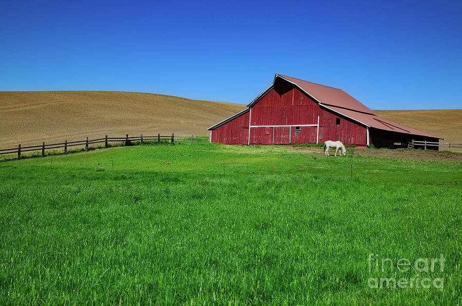 Red Barn Photograph by Patti Schulze
