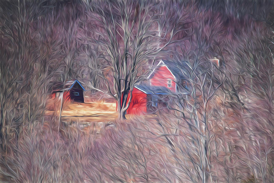 Red barn through the trees Photograph by Alan Goldberg