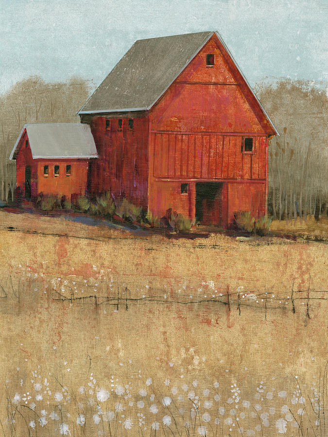 Bird Painting - Red Barn View II by Tim Otoole