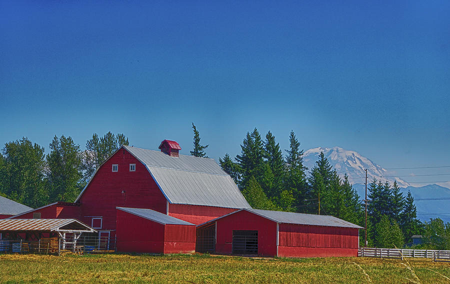 Red barn with Mount Rainier Photograph by Steve Estvanik
