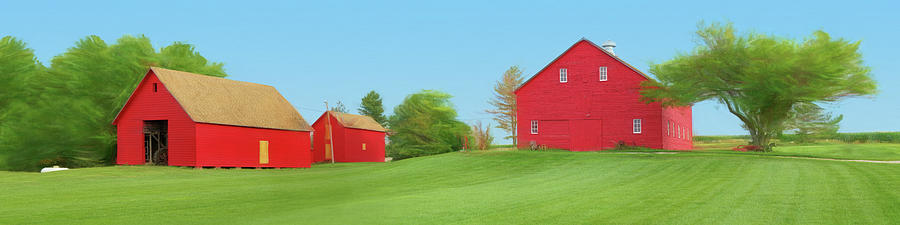 Red Barns in Summer Photograph by Nikolyn McDonald