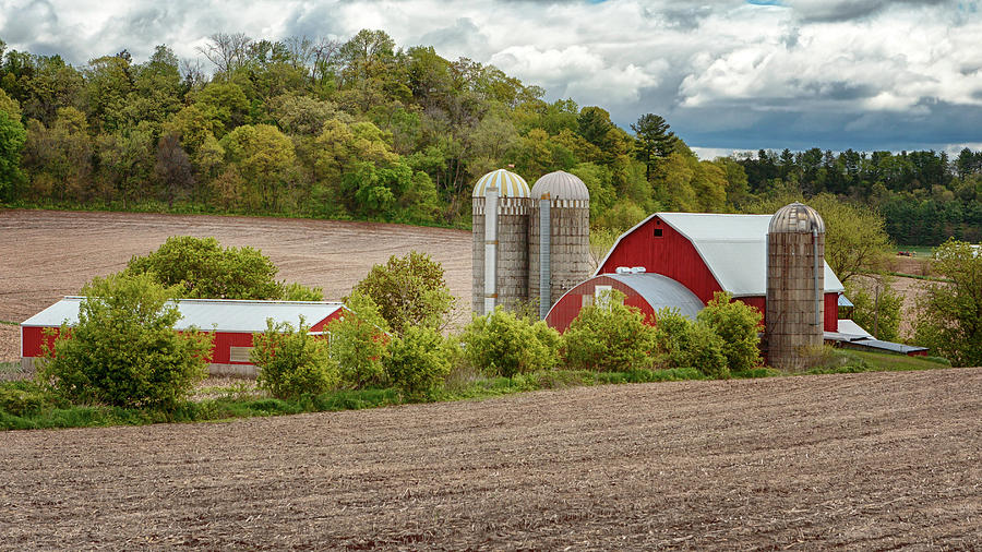 Red Barns in Wisconsin Photograph by Susan Rissi Tregoning