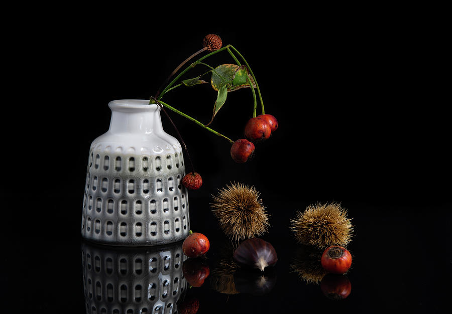 Red berry fruits on a white modern vase creating a beautiful abs Photograph by Michalakis Ppalis