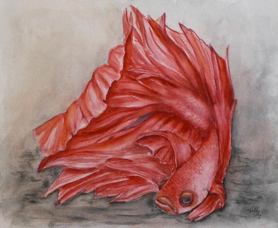 Red Betta Fighting Fish by Kelly Mills Red Betta Fighting Fish by Kelly Mills