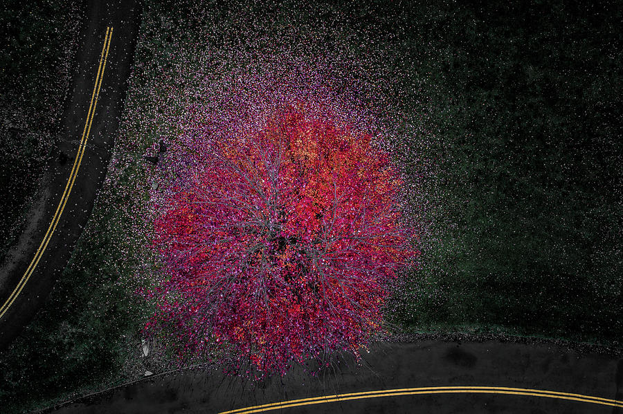 Red between the Lines by Nick Smith Red between the Lines by Nick Smith