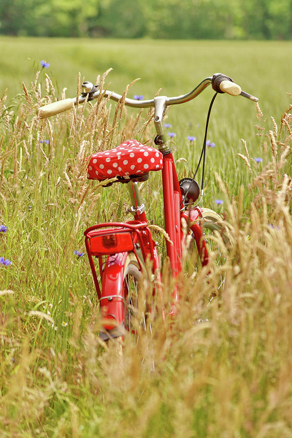 Red Bike In The Field Photograph by Angelica Linnhoff