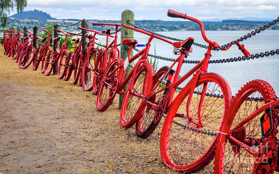 Red bikes at Lake Taupo, New Zealand Photograph by Lyl Dil Creations