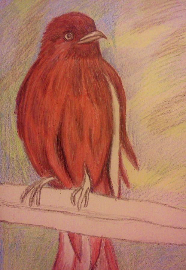 Red bird Drawing by Christy Saunders Church