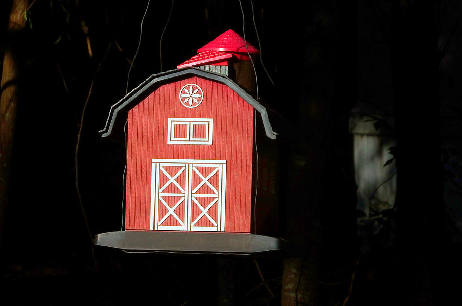Unique Photograph - Red Birdseed Barn by Cathy Harper