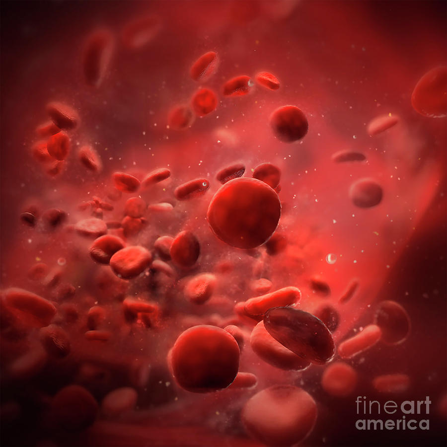 blood cell animation