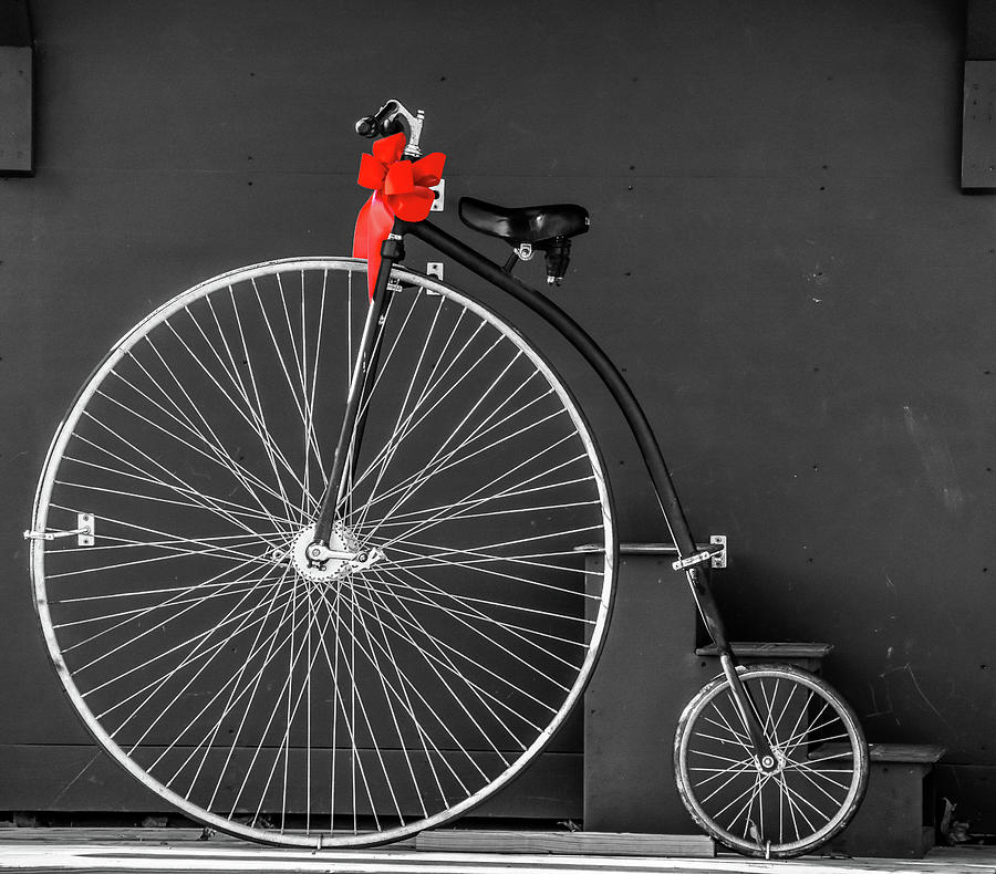 Red Bow Bicycle Photograph by Michelle Wittensoldner