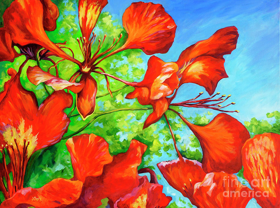 Poinciana Painting - Red Bracts On A Royal Poinciana by John Clark Poinciana Painting - Red Bracts On A Royal Poinciana by John Clark