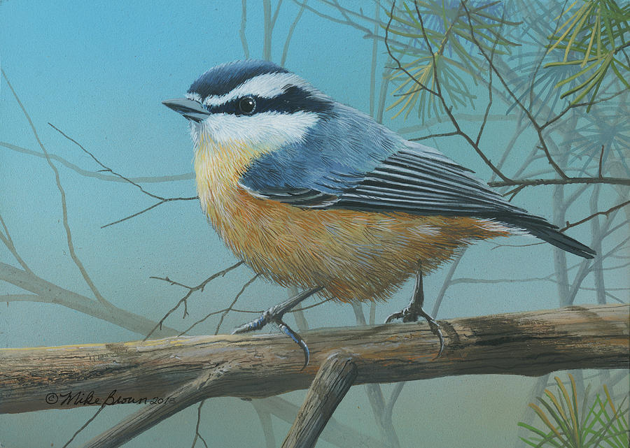 Songbird Painting - Red Brested Nuthatch by Mike Brown