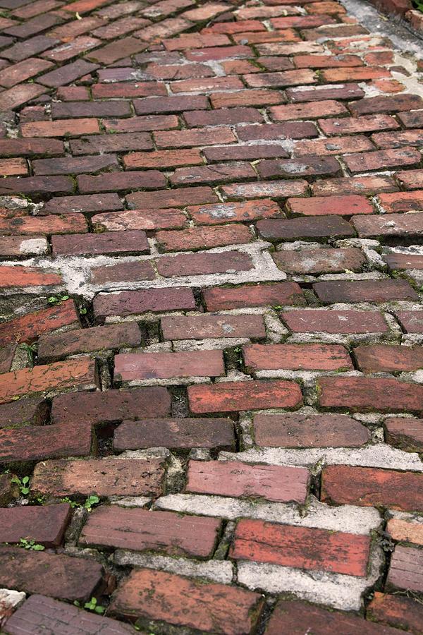 Red Brick Road Photograph by T Lynn Dodsworth