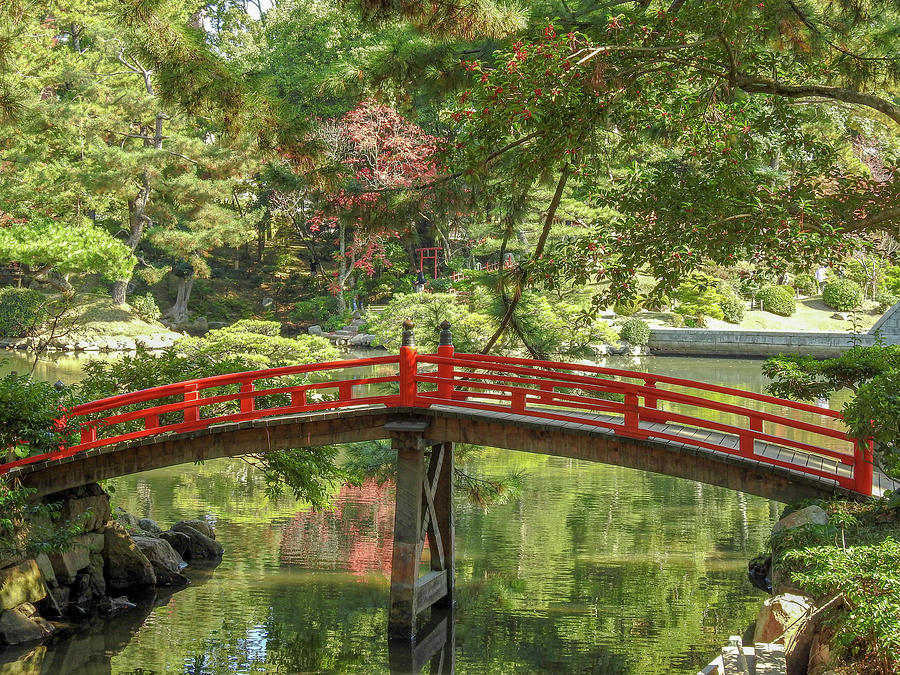 Red Bridge in Japanese Garden Photograph by Lisa Crawford - Fine Art ...