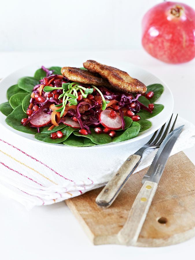 Red Cabbage Salad With A Viennese Escalope Photograph by Hannah Kompanik
