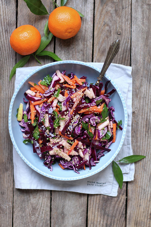 Red Cabbage Salad With Sesame Seeds Photograph by Sylvia E.k Photography