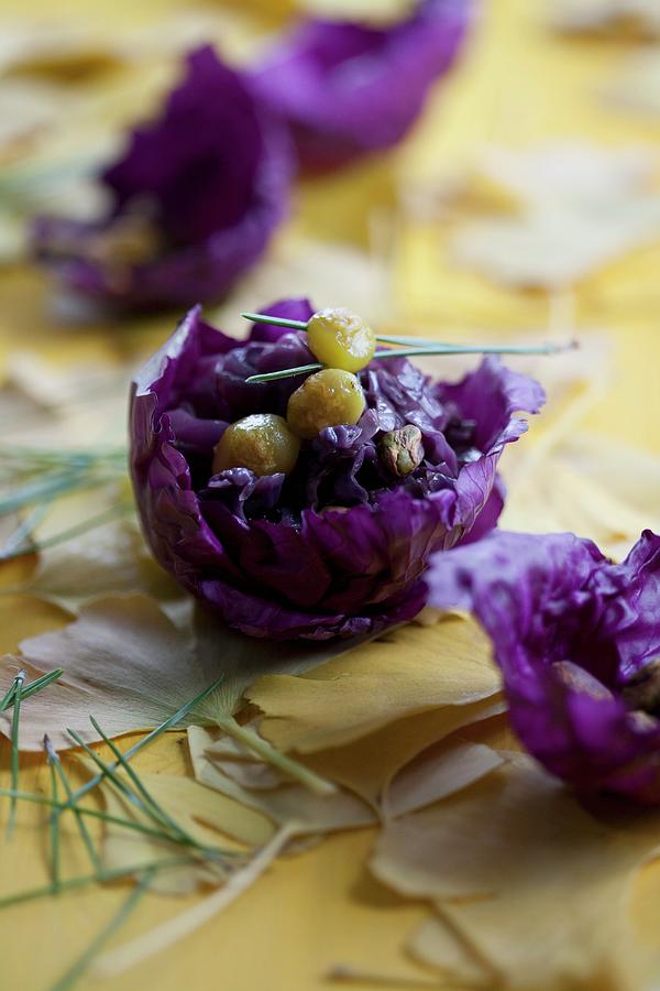 Red Cabbage With Pistachios And Gingko Nuts Photograph by Schindler, Martina