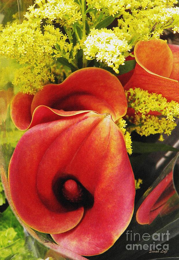 Lily Photograph - Red Callas by Sarah Loft