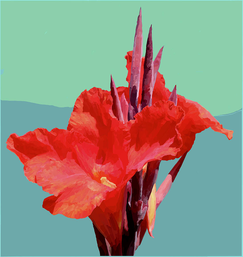 Red Canna Up Close Digital Art by Jamie Downs