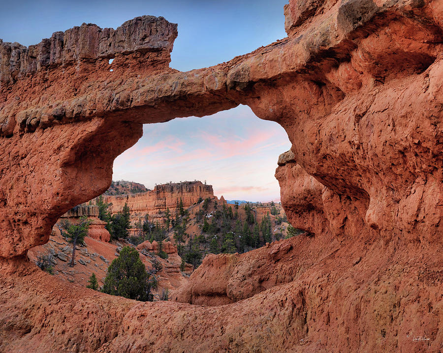 Red Canyon Arch Photograph by Leland D Howard