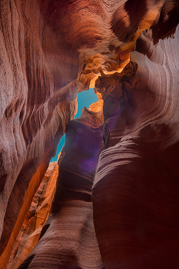 Red Canyon Photograph by Chuanxu Ren