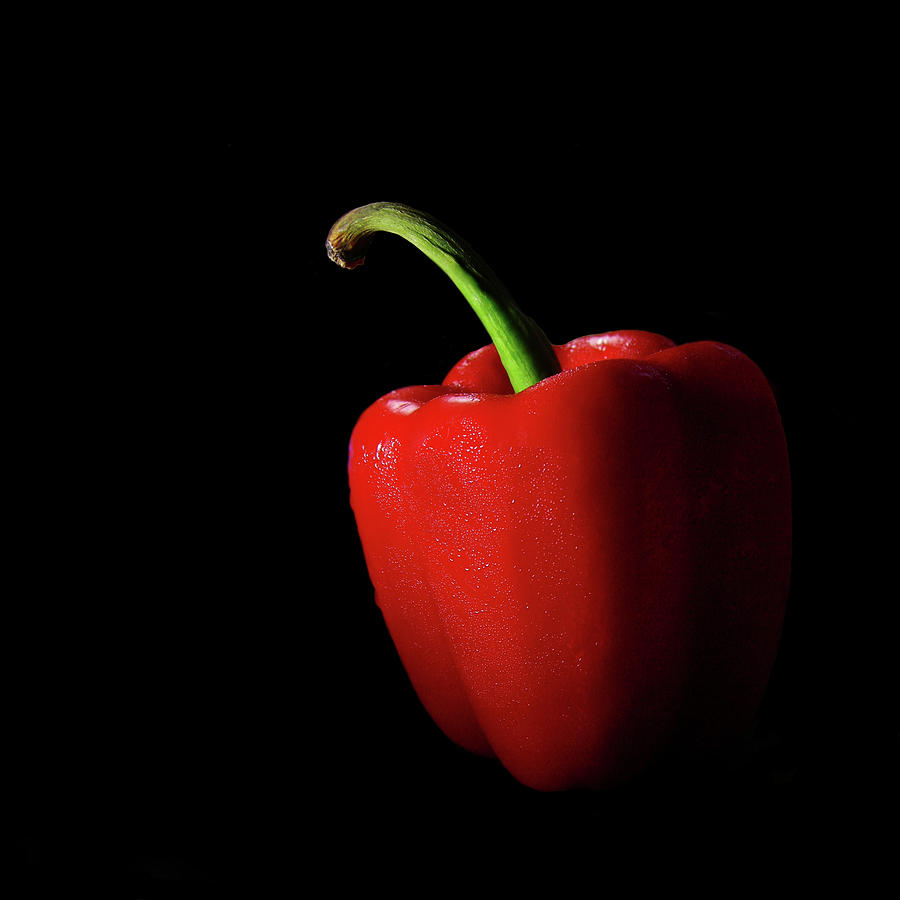 Red Capsicum Photograph by Photograph By Narendra N. Acharya