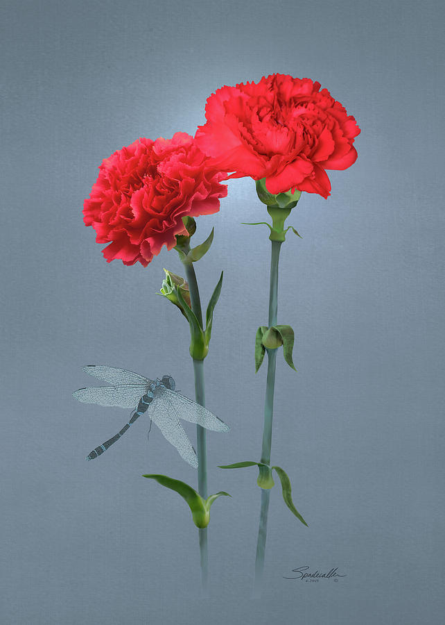 Carnations of Eden Digital Art by M Spadecaller