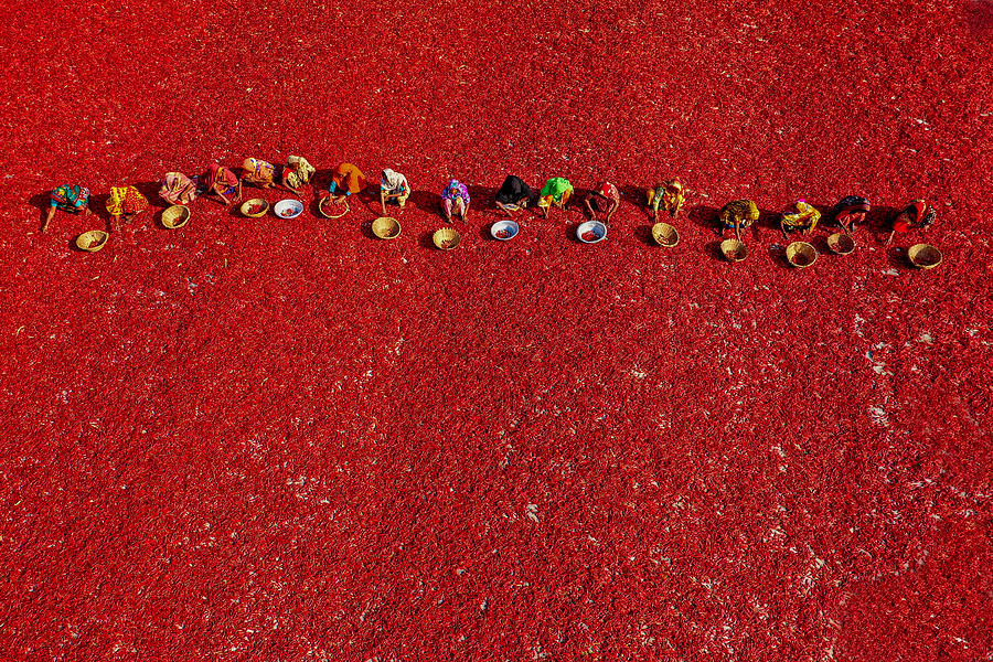 Vegetable Photograph - Red Carpet by Azim Khan Ronnie