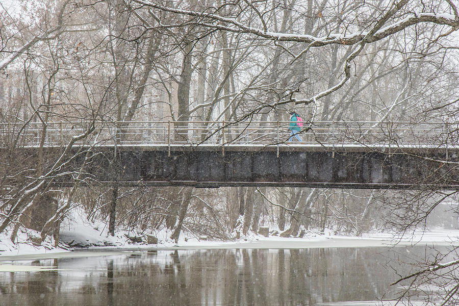 Red Cedar River Michigan State Winter  Photograph by John McGraw